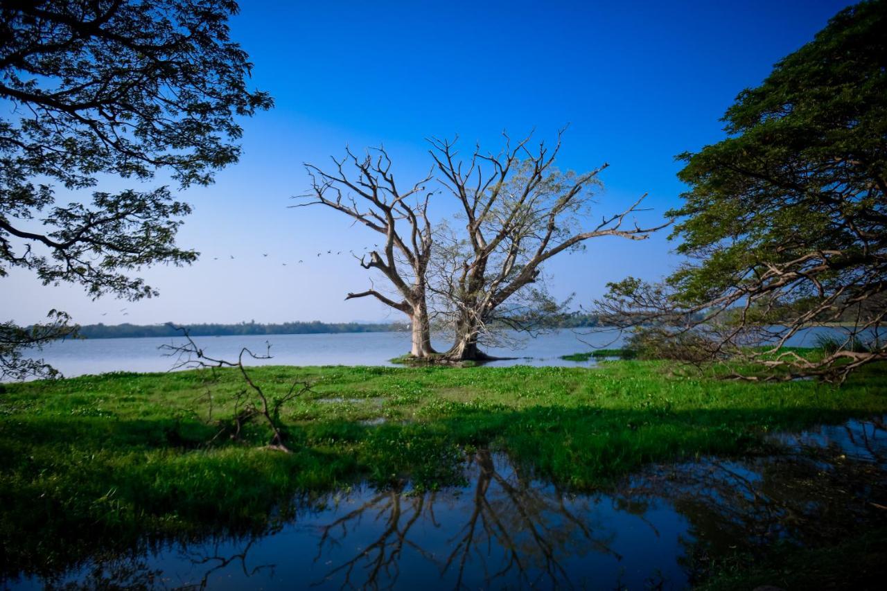 Double Lake View Tissa & Safari Tissamaharama Esterno foto