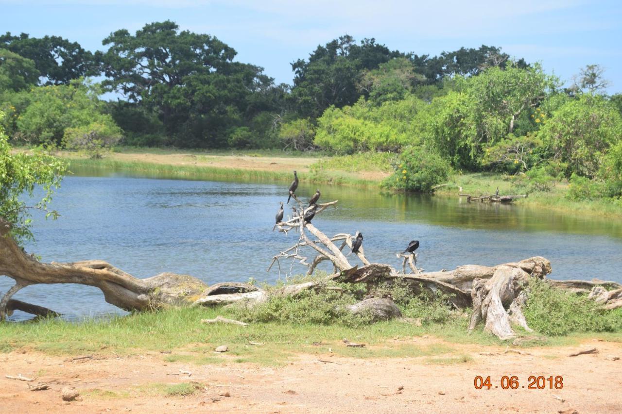 Double Lake View Tissa & Safari Tissamaharama Esterno foto